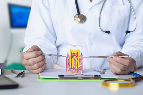 Best Broken or Cracked Tooth Emergency Dentist in Exeter, CA